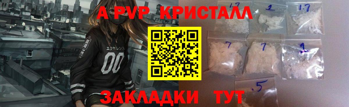 A PVP СК КРИС Орёл