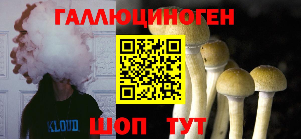 Орёл  Псилоцибиновые грибы Psilocybine cubensis  Вход с VPN  Галлюциногенные грибы MAGIC MUSHROOMS 