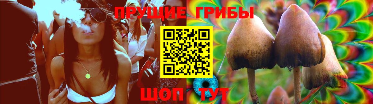 Псилоцибиновые грибы мицелий Орёл